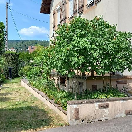 Studio d'hôtes à 10 km de Gérardmer  Le Tholy Exterior foto